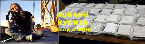 крисы Богданович