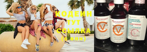 spice Снежинск