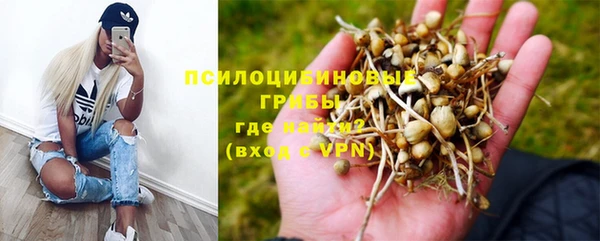ГАЛЛЮЦИНОГЕННЫЕ ГРИБЫ Богородск